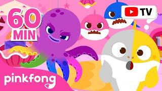 Where Did My Color Go? | Colorful Baby Shark  | Learn Colors More and More | Official Pinkfong