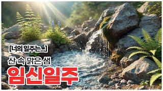 [너의 일주는] 산 속 바위 틈에서 솟아나는 맑은 물 같은 임신일주