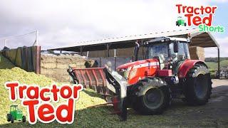 Lets Look At How They Store The Maize  | Tractor Ted Shorts | Tractor Ted Official Channel