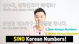 [Basic Korean] 5. How Do We Say Phone Numbers in Korean l Sino Korean Numbers