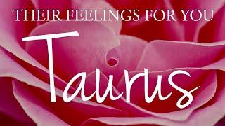 TAURUS love tarot ️ Someone Who Has Love For You Taurus Knows That They Messed Things Up 