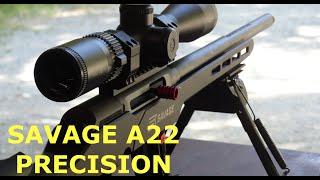 Savage A22 Precision Review. Testing Different 22LR Ammo at 50 and 100 Yards.