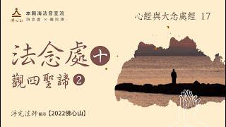 【心經與大念處經的經法與禪法17】法念處10 觀四聖諦2【字幕版】_淨光法師開示