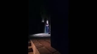 Verdi-Aida- O Terra Addio - Alla Rodina & Andrii Romanenko- Aida&Radames