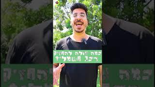 עוברים לחשמל: כמה עולה להחזיק רכב חשמלי?