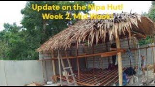 Progress on our Nipa Hut (native Filipino House) Build!  #housebuildinginthephilippines #bohol