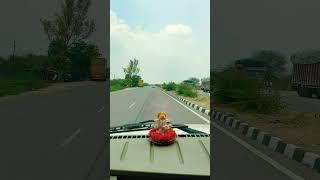 #dsn #enjoy #trip