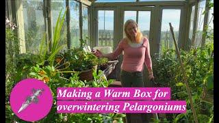 Making a Warm Box for overwintering Pelargoniums