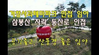 [번호 436423] 경남 거창군 고제면 삼봉산 자락 거창사과테마파크 인접 임야 매매 영림용지 급매매 과수원부지 급매물 약초재배지 매도 산풍경좋은 야산 부동산119 부동산직거래