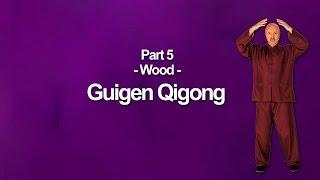 Guigen Qigong Wood Element -Part 5- Medical Qigong Training Exercises