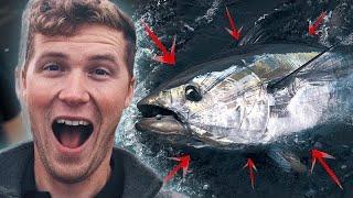 Catching Monster Tuna in England