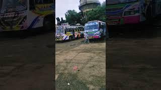 malur bus stands #malur #busstand #shortvideo #trending #viral #bus #busshorts #business  #shorts