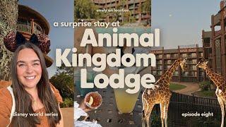 SURPRISE check in at Disney’s ANIMAL KINGDOM LODGE + a cosy final day at MAGIC KINGDOM!