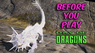 Day of Dragons Graphic settings
