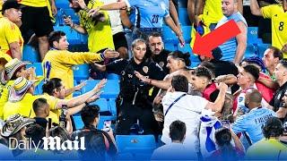 Moment Darwin Núñez confronts fans in stands after Uruguay's Copa America defeat to Colombia