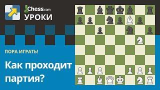 Правила шахмат: Как проходит партия?