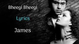 Bheegi Bheegi Si Hai Raatein (LYRICS) - Gangster | James, Pritam | Na Jane Koi Kaisi Hai Yeh Zindagi