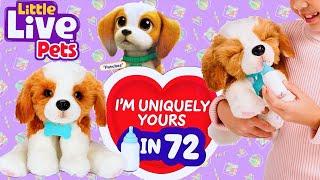 Little Live Pets My Really Real Puppy - Patches The Beagle | Play & Care for Just Like a Real Dog !