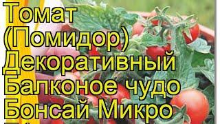 Томат декоративный Балконое чудо Бонсай Микро F1. Краткий обзор