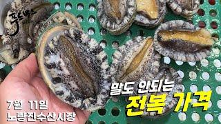 요즘 계속되는 말도 안되는 전복가격 ..얼마길래?  7월 11일  노량진 수산시장