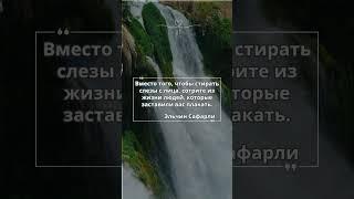 Сотрите из жизни