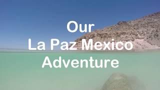 Things to do in La Paz Mexico