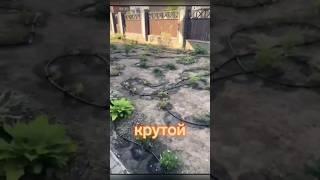 Здоровая спина - это про капельный полив #shortsclip #рек #шортс #капельныйполив #огород #дача #баки