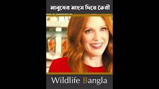 যেখানে মানুষের মাংস দিয়ে কাবাব তৈরী হয়। #wildlife bangla