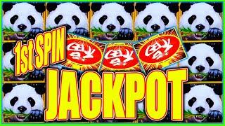 She Left Me SHOCKED With This 1st Spin Bonus JACKPOT on Million Dollar Dragon Link Slot