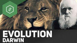 Evolutionstheorie von Charles Darwin