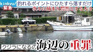 漁港で高級魚を乱獲！堤防からクジラに匹敵する大型魚が釣れ驚きを隠せない