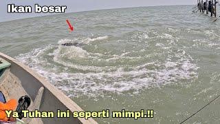 YA TUHAN INI SEPERTI MIMPI!! Mancing kakap putih