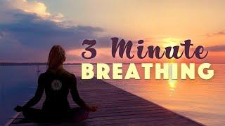 3 Minute Breathing Meditation