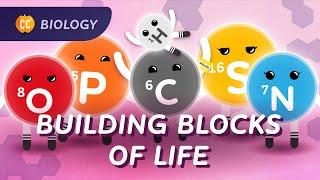 Carbon & Biological Molecules: What is Life Made Of?: Crash Course Biology #20