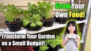 How to Grow Your Own Food on a Budget | Affordable Gardening Tips & Tricks