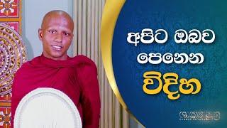 අපිට ඔබව පෙන විදිහ | Apita Obawa Pena Widiha