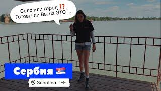 Сербия  Посмотрите ДО покупки дома ️ Иммиграция в Сербию БЕЗ ошибок от Суботица LiFE | Сербия ВНЖ