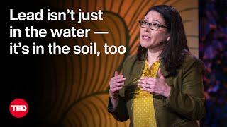 The Hidden Danger of Lead in Soil | Yvette Cabrera | TED