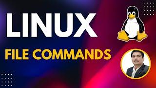 Part 1 - Unix/Linux for Testers | File Commands