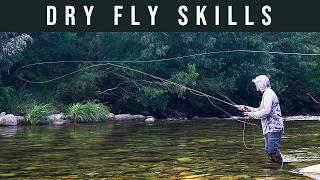 The BIG SECRET to better DRY FLY fishing