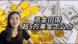 资金回国超5万美金怎么办？大额资金结汇用这两种方案，额度不限！太爽了