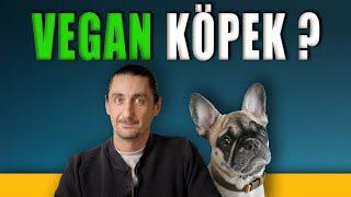 Vegan Köpek Olur Mu? - Evciller - Vet. Hekim Efe Onur - B04