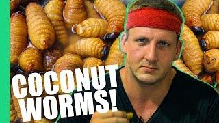 HOW TO EAT COCONUT WORMS! (Inspirational)