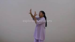 Taiji Forum Meeting 2017 - Qigong – TCM – Calligraphy – Taijiquan – I Ching