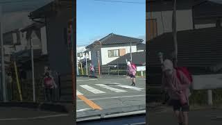 Japanese Children/People When Crossing The Road | So Polite#shortsyoutube #shortvideo