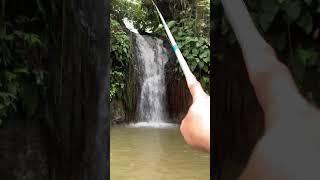 Mancing di air terjun jadi emosi  #sibolang #shorts #iyanxyz