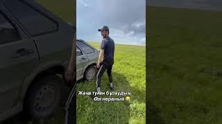 #подпишись #horse #арабскиелошади #reels #лошадки #animals #моялошадь #той #cow #продажалошадей