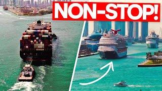 Port Of Miami: Giant Container Ships Arriving & Cruise Ships Departing All Day!