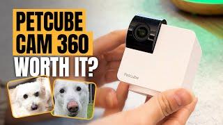 For Pet Owners who have separation anxiety...  [Petcube Cam 360 Review]