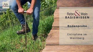 Rebe & Wein Basiswissen - Bodenprobe ziehen